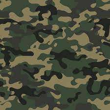 There are some features i would have liked to add (and some bugs that could be fixed), but after not having touched this in nearly 7 years i. 6 Green Camouflage Texture Tile Png Transparent Onlygfx Com
