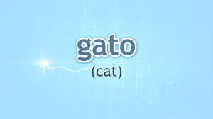 How To Pronounce Cat Gato In Spanish Youtube
