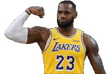 Pagesbusinessessports & recreationsports teamlos angeles lakersvideoslebron james dunk. Emoticons Lakersgifs Animated Laker Gifs Laker Memes And Laker Smilies And Laker Emoticons