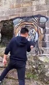 That S Gotta Be The Best Pirate I Ve Ever Seen Meme Compilation Pin On Awesome