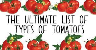 True tomato perfection comes in a range of colors. The Different Types Of Tomatoes The Ultimate Guide