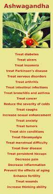 Ashwagandha Benefits And Side Effects Herbs List Holistic Health Herbal Medicine Herbs