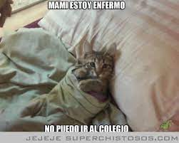 Mami Estoy Enfermo Gatos Chiste En Espanol Perros