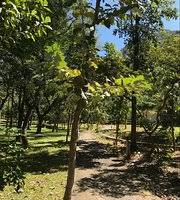 For your info, we are on the way to kanniyakumari just around 14kms and 12km from nagerkoil and 09km from suchindrum temple(we are sandwitched. Indien Hermitage Kanyakumari Tamil Nadu Hotel Reviews Photos Rate Comparison Tripadvisor