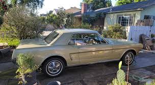 Image result for Anniversary Gold 1966 Mustang