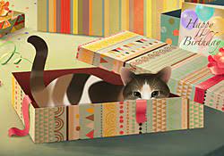 I would like to get my money returned asap.you found my account so please use it to return my money. Happy Birthday Feline Frolics E Card By Jacquie Lawson