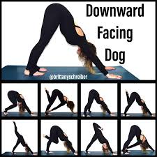 Downward Facing Dog Variations These Are Some New Fresh Ways To Do Downward Facing Dog Or Adho Mukha Svanasana Downward Dog Downward Facing Dog Dogs