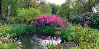 Richmond park, london, united kingdom. Der Beste Richmond Park Insider Guide 2021