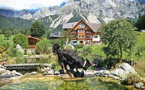 Herzlich willkommen im haus am bach „borszówka. Urlaub In Der Steiermark Pension Haus Am Bach Ramsau Am Dachstein