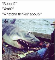 Quint Having An Existential Conversation With Jaws Funny Animal Memes Funny Pictures Funny Animals