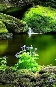 Morya I Reki Beautiful Nature Nature Pictures Amazing Nature