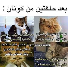 pin by on momisᥱ funny anime pics some funny jokes funny jokes