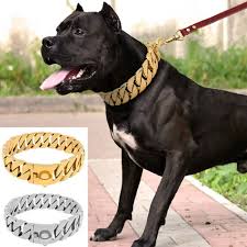 Image result for why pitbull heavy chain