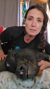 Please consider a tax deductible donation for the residents of Roots. , We  are a 501c3 non-profit organization , Venmo @kelli-quattrone , PayPal  Rootssanctuary.org