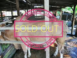 Check spelling or type a new query. Kereta Lembu Untuk Di Sewa Postingan Facebook
