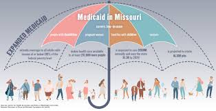 The personal tax bureau administers individual income, partnership, fiduciary, and estate taxes. Expanding Access Voters To Decide Whether To Expand Medicaid In Missouri Springfield Business Journal