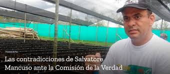 Encuentra las últimas noticias sobre salvatore mancuso en noticiasrcn.com. Las Contradicciones De Salvatore Mancuso Ante La Comision De La Verdad Colombia Peace