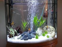 Small Live Aquarium Plants Aquarium Design Ideas Check More At Https Aquariumdesingideas Duydainanma Com Small Live Aquarium Plants Aquarium Design Ideas