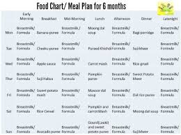 Diet Plan For 6 Month Old Baby