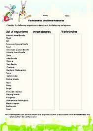 Read more work sheet on introduction to inverta brate : Vertebrates An Invertebrates Lesson Plans Worksheets