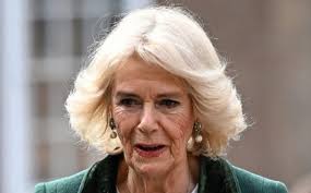 Camilla Parker-Bowles, aires de diva, així exigeix que es dirigeixi a ella  el servei, més