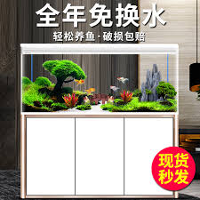 Fish tank room escape is another new point and click room escape game from games2rule.com. Usd 109 57 Small And Medium Sized Living Room Fish Tank Aquarium Household Lazy Person Free Water Super White Glass Ecological Large Fish Tank With Bottom Cabinet Wholesale From China Online Shopping