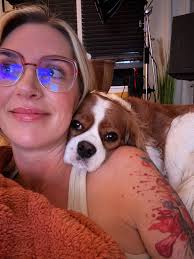 Cavalier King Charles Spaniels