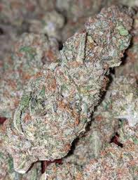 The aroma follows the same profile, with an earthy herbal overtone that's accented by rich nuttiness. Peanut Butter Breath Cannabis Menu By Wolf Of Wicker Cannabis In Chicago Illinois Leafedout Com