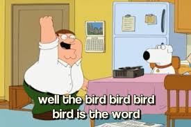 Family Guy Bird Is The Word Gif Https Encrypted Tbn0 Gstatic Com Images Q Tbn 3aand9gcrmd2fbmpeb 6lalxngtn4dntvackpk5v4nfw Usqp Cau