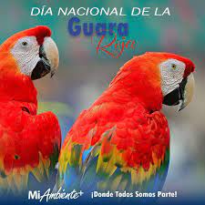 We did not find results for: Uzivatel Miambiente Na Twitteru Hoy Celebramos El Dia Del Ave Nacional De Honduras Sabias Que La Guara Roja O Guacamaya Roja Fue Declarada Ave Nacional De Honduras El 28 De Junio