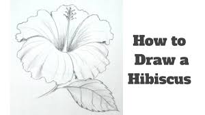 How to draw a rose flower | easy step by step drawing for kids and beginners | draw with darka rose is a woody perennial flowering plant of the genus rosa, i. How To Draw A Hibiscus Flower Step By Step For Kids Youtube