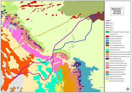 Image result for Ptycholobium plicatum