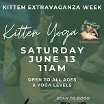 Kitten Extravaganza Week: Kitten Yoga at FYT!