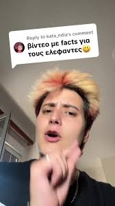 Learn Through TikTok: Engage with Smaragdatok