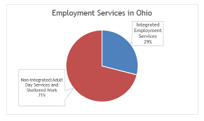 Introduction The Past Decade Has Been A Period Of Remarkable Change For Ohio S Developmental Disability Syste In 2020 Developmental Disabilities Development Disability