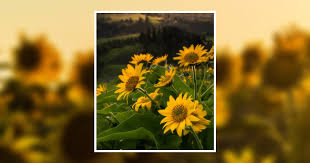 Marjorie J. CONOVER Obituary January 17, 2012