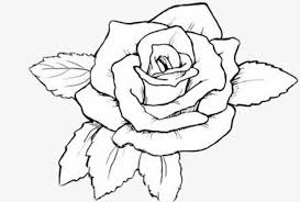 Easy drawing / how to draw rose flower easy / cool drawings / pencil sketch. ÙˆØ±Ø¯ Ø¬ÙˆØ±ÙŠ Ø±Ø³Ù…Ø© ÙƒÙˆÙ†ØªÙ†Øª