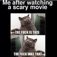 Pin By Metiz On Hahaha Scary Movie Memes Funny Animal Memes Laughing So Hard