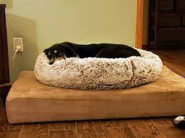 Does your pet have the ideal place for sleeping and calming? Do Calming Dog Beds Work