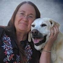 Obituary, Visitation & Funeral Information