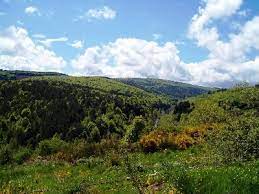 The cevennes national park in the tarn gorge provides spectacular scenery through out it length. The Cevennes National Park