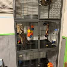 Wouldn't you rather know if the exotic pet you're buying is wild caught, captive bred, captive farmed, captive hatched or long. Jayden S Jungle Exotic Pets 17 Photos Pet Stores 501 4th St Aurora In Phone Number Yelp
