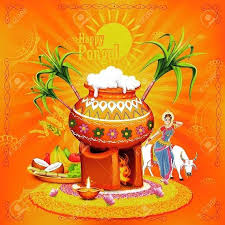 I M Planning A Pongal Series Here And This Would Be My Focus Sarees And Pongal Festival Are Inseparable So Happy Pongal Happy Lohri Images Sankranthi Wishes
