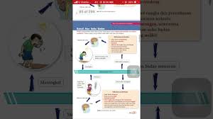 (kandungan air banyak (kandungan meningkat) air menurun) jumlah rembesan hormon jumlah air yang diserap semula ke dalam darah kandungan air akan. Bab 3 Kawalan Homeostasis Tingkatan 1 Sains Youtube