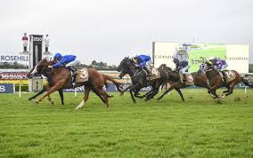 Posted on march 6, 2021. Doncaster Mile 2021 Punters Stage Late Plunge On Long Shot