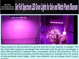 Different from the traditional hps ,our led plant grow lamp adopts a. Get Full Spectrum Led Grow Lights For Sale And Watch Plants Blossom