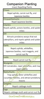 Sometimes you end up wishing you had a resource at hand to make it easier to apply idep maintains a host of produced small documents on permaculture from free training guides and tools to teach the very basic of permaculture principles to. Gardening For Dummies Companion Planting Free Printable Onecreativemommy Com Gardening For Dummies Garden Companion Planting Insect Repelling Plants