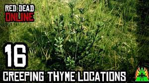 Red Dead Redemption 2 Online Creeping Thyme Locations Youtube