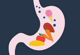 It takes anywhere from five minutes to two hours to digest liquid. How Long Does It Take To Digest Food Health Essentials From Cleveland Clinic