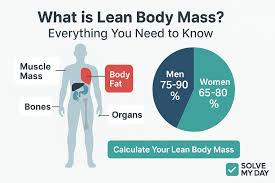 Image result for Lean Body Mass